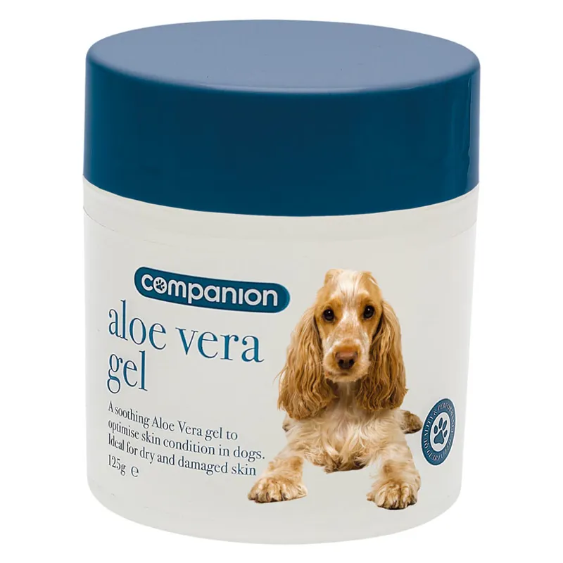 Companion Aloe Vera Gel 125g - WEB EXCLUSIVE